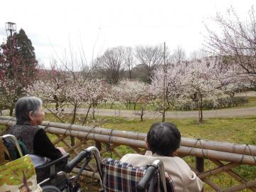 社会福祉法人 陽和福祉会|≪春日井市高蔵寺≫　高齢者福祉施設　どんぐりの森