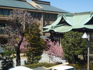 株式会社シーズ・ワン|桜新町アーバン・デイサービス