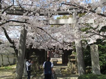 社会福祉法人慈恵園福祉会|介護老人保健施設 　ふじいでら