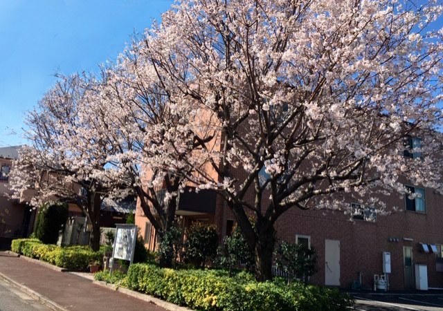 株式会社ビアン|もえぎ三鷹上連雀